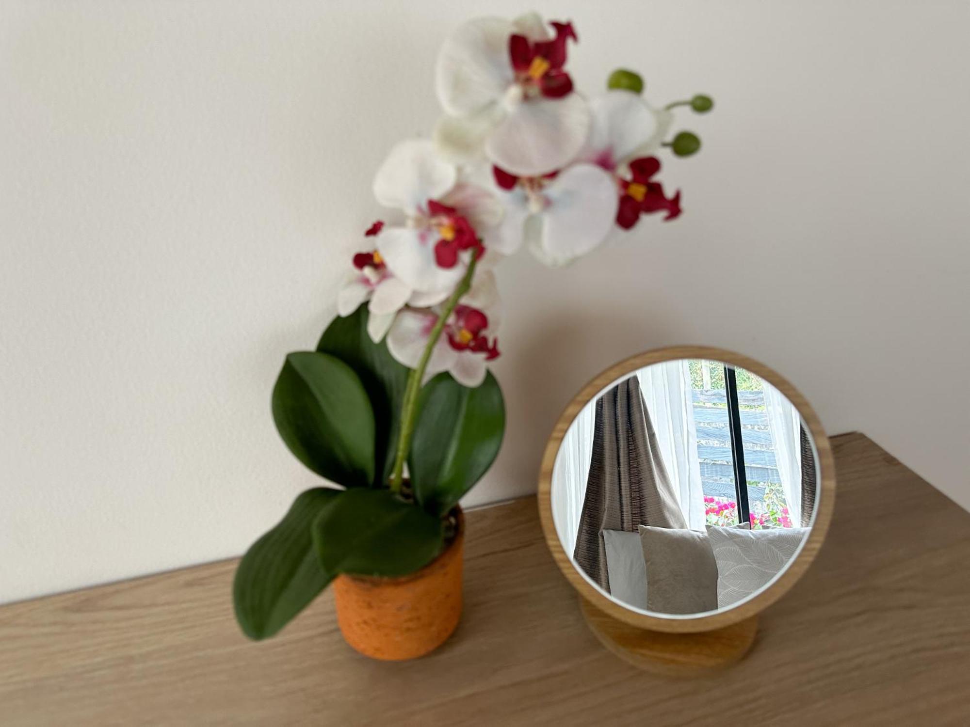 Apartment Con Jacuzzi Y Chimenea - Casa Floral, Marinilla